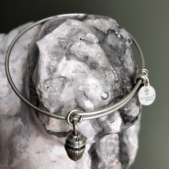 Alex and Ani Silver Cupcake Charm Bangle Bracelet - Picture 2 of 8